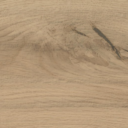 atlas_concorde_log_moon_oak_forest_1.jpg