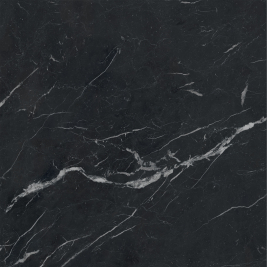 caesar_anima_futura_unique_black_1.jpg