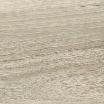 la_fabbrica_ava_kauri_catlins_1.jpg