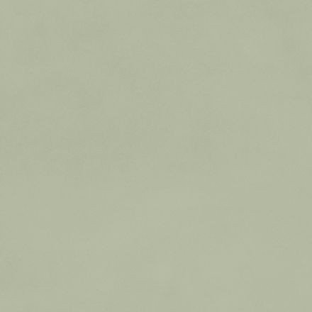 lumiere_pastel_forest_1.jpg