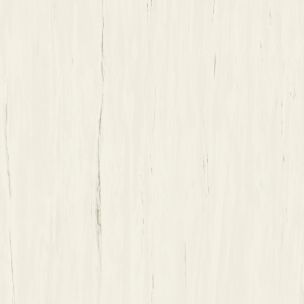 Atlas Concorde Marvel Stone Bianco Dolomite 60x120 Matt - A21C