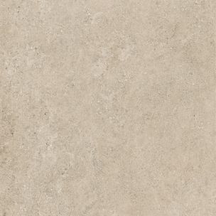 Eternal Stone Ash 60x120 Rett Matt - AS8150