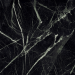 Gardenia Orchidea Marmoteca Deep Green Soft Ret 120X120  - PF60010686