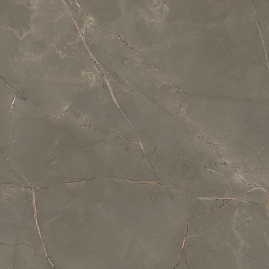 Płytka porcelanowa z efektem naturalnego marmuru Ciemnoszara Matowa Rt 60x120 - EATN1513