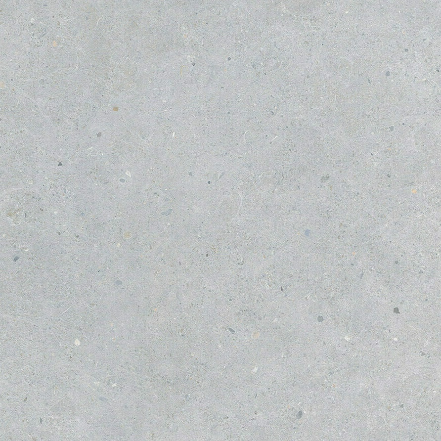 Płytka porcelanowa antypoślizgowa jasnoszara z efektem betonu 60X60 - Ebst012