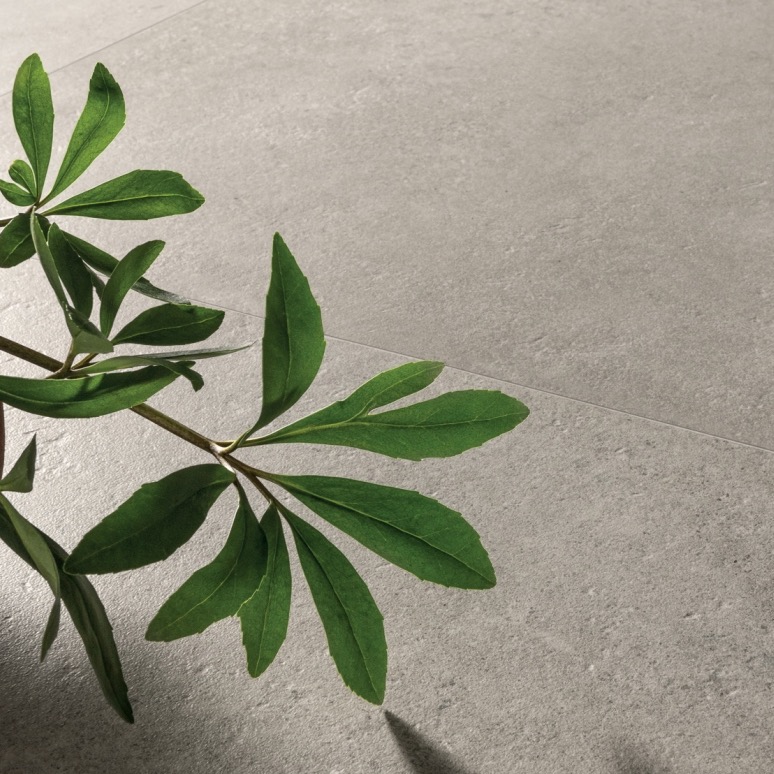Gardenia Orchidea Origini Gris Royal 60X120 - G0073594