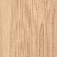 Saime Ceramiche Bark Beige Grip Rett 20mm R11 40X120 - 8695000